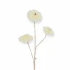 Countryfield kunstbloemen Calendula creme parelmoer 87 cm