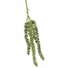 Erwten plantje groen 35 cm