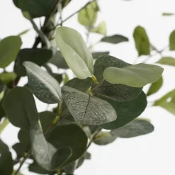 Eucalyptus Kunstplant in Bloempot – H95 x Ø55 cm – Groen