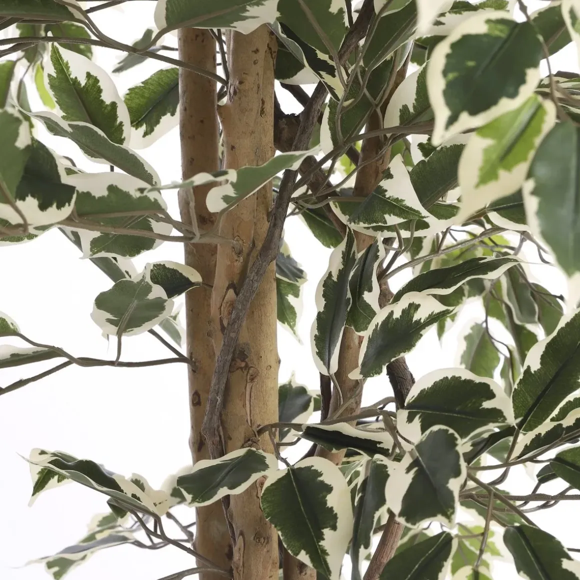 Ficus Kunstplant – H180 x Ø90 cm – Groen Bont