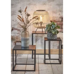 Goa Bijzettafel – Set van 2 – L35 x B35 x H55 cm – Metaal – Zwart