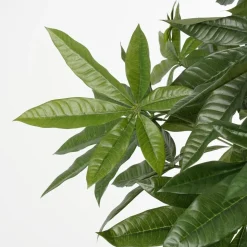 Pachira Kunstplant – H120 x Ø50 cm – Groen