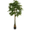 Pachira Kunstplant – H150 x Ø65 cm – Groen