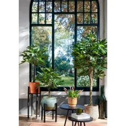 Pachira Kunstplant – H80 x Ø60 cm – Groen