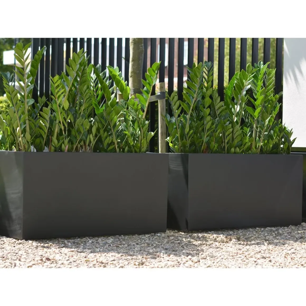 Plantenbak – Indiana black