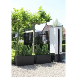 Plantenbak – Indiana black
