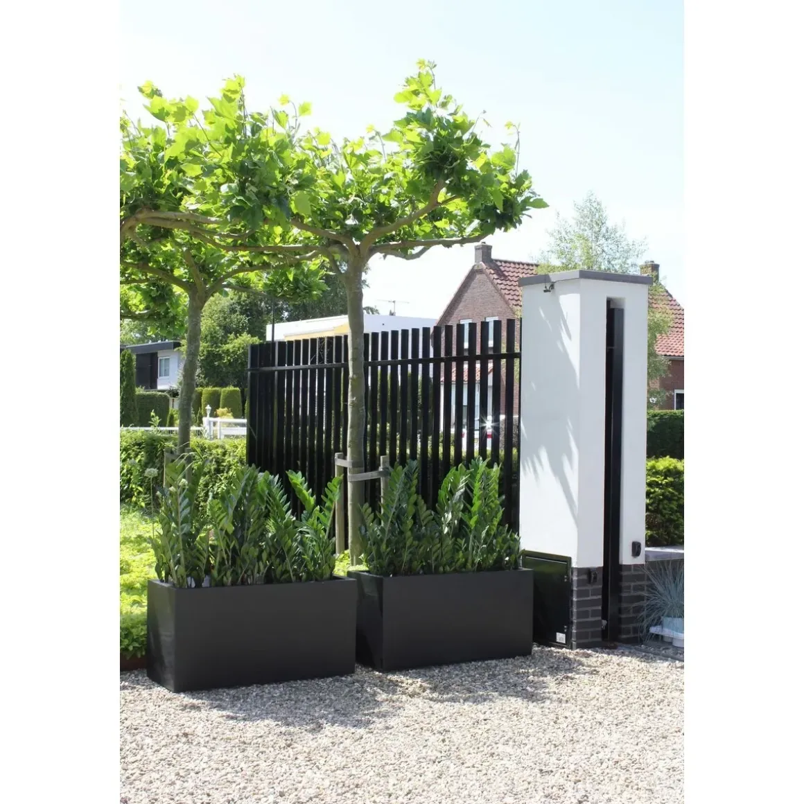 Plantenbak – Indiana black