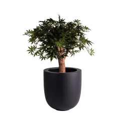 Pot – Ducos big black