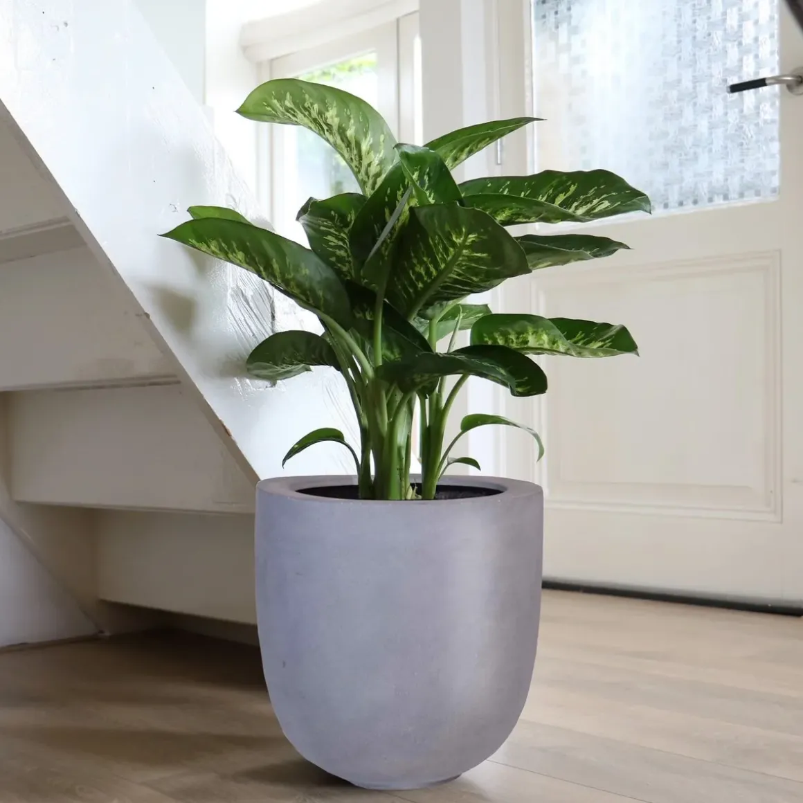 Pot – Ducos big grey