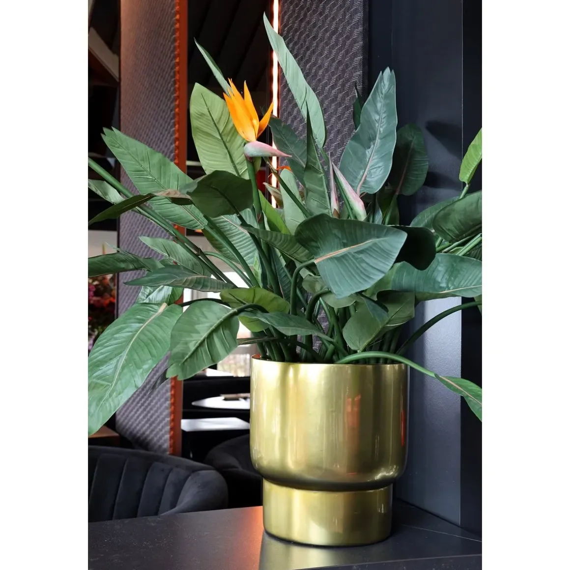 Pot – Roskilde gold