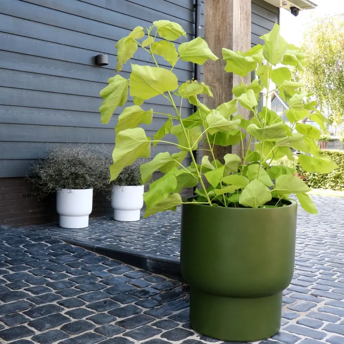 Pot – Roskilde green