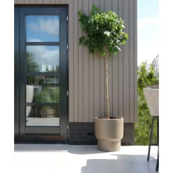 Pot – Roskilde taupe