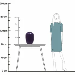 Vaas – Artic purple