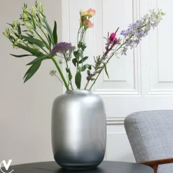 Vaas – Artic silver