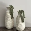 Vensterbank of sidetable decoratie set beige vazen met erwtenplant groen
