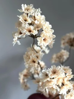 Zijden bloesemtak Prunus Pandora beige/creme – 85cm